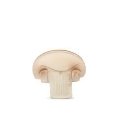 Hryzátko a hračka Manolo the Mushroom OLI & CAROL